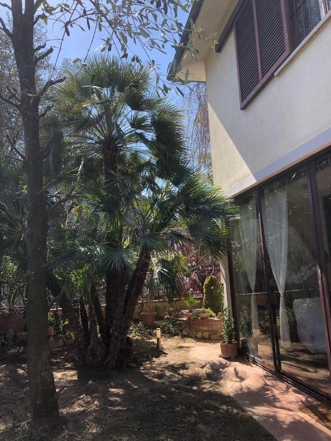 La Villa Bianca - Appartamento In Villa 세스토 피오렌티노 외부 사진