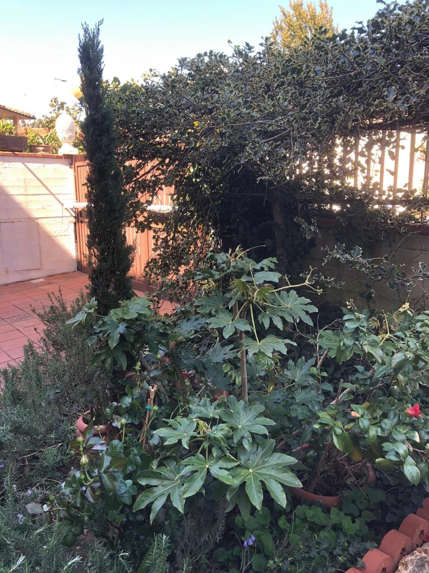La Villa Bianca - Appartamento In Villa 세스토 피오렌티노 외부 사진